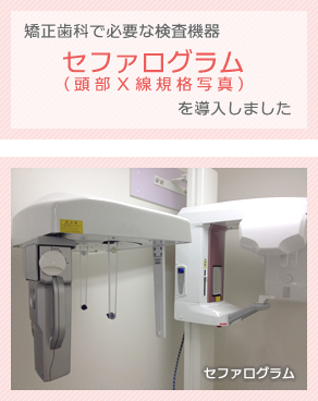 セファログラム(頭部X線規格写真)